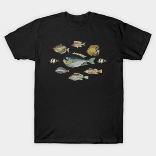 Fish in Pink - Vintage Reef Fish Print - Marine Biology T-Shirt